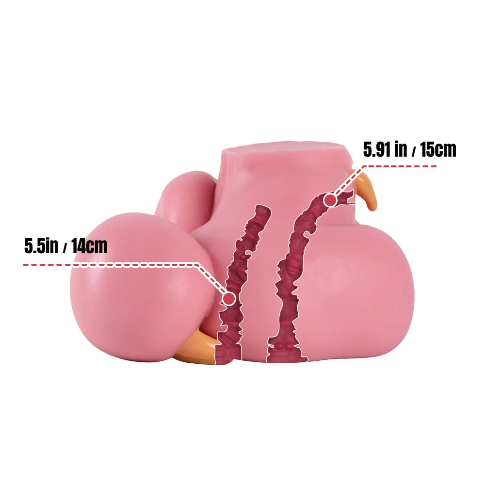 Detailed interior cross-section diagram illustrating the shared vaginal and abdominal tunnel structure of the Heketa doll
